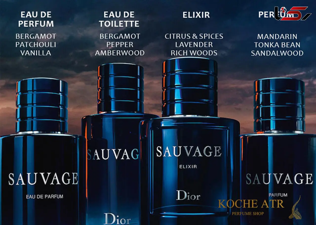 انواع عطر با غلظت و ماندگاری مختلف