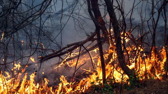 باد گرم و 63 مورد آتش سوزی مختلف در 3 روز گذشته / در شهر شوش رخ داد