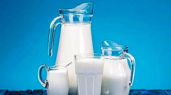 لبنیات کم چرب و افزایش ریسک ابتلا به پارکینسون 