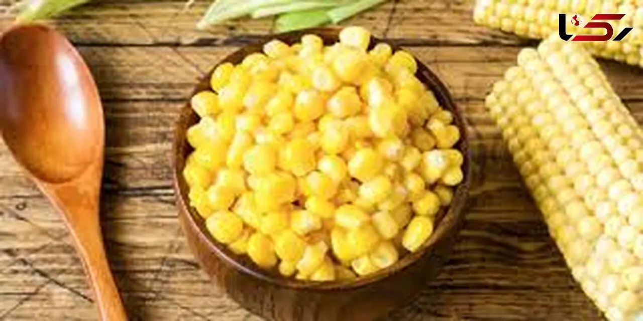 ماجرای ذرت های سمی در بازار چه بود؟ + فیلم