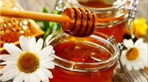 قیمت هر کیلو عسل طبیعی حداکثر ۶۰ هزار تومان است/ راه‌اندازی آزمایشگاه‌ مدرن و ۴۰ فروشگاه‌ زنجیره‌ای عسل طبیعی