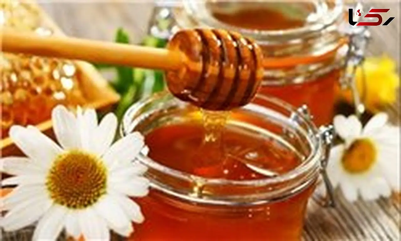 قیمت هر کیلو عسل طبیعی حداکثر ۶۰ هزار تومان است/ راه‌اندازی آزمایشگاه‌ مدرن و ۴۰ فروشگاه‌ زنجیره‌ای عسل طبیعی