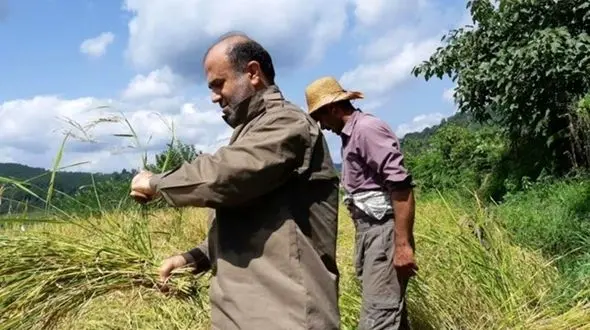 آقای دادستان در حال کشاورزی + تصاویر
