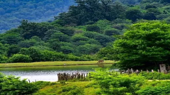 چشم‌ اندازهای جادویی تالش؛ تجربه طبیعت بکر ایران / عکس های رویایی