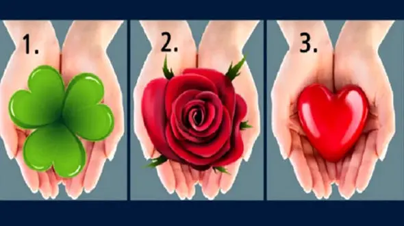 تست : قلب یا گل کدام را انتخاب می کنید ! / شخصیت شناسی !