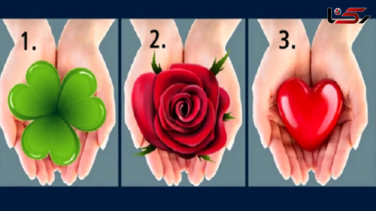 تست : قلب یا گل کدام را انتخاب می کنید ! / شخصیت شناسی !