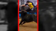 فیلم برخورد شدید گاو با گاوباز در میدان مسابقه