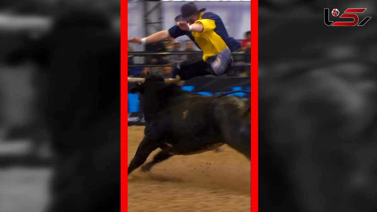فیلم برخورد شدید گاو با گاوباز در میدان مسابقه