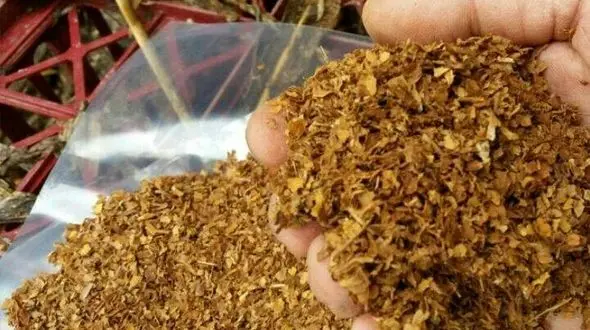 محموله عجیب 30 میلیاردی در میدان شمال شهر پیدا شد