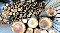 کشف 12 تن چوب قاچاق در بروجرد 