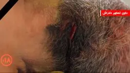 فیلم عمق فاجعه در پزشکی قانونی کهریزک تهران / حاوی صحنه های دلخراش از اجساد کشته شدگان حوادث اخیر