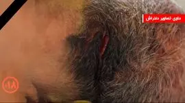 فیلم عمق فاجعه در پزشکی قانونی کهریزک تهران / حاوی صحنه های دلخراش از اجساد کشته شدگان حوادث اخیر