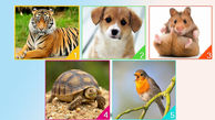  کدام حیوان را انتخاب می کنید؟