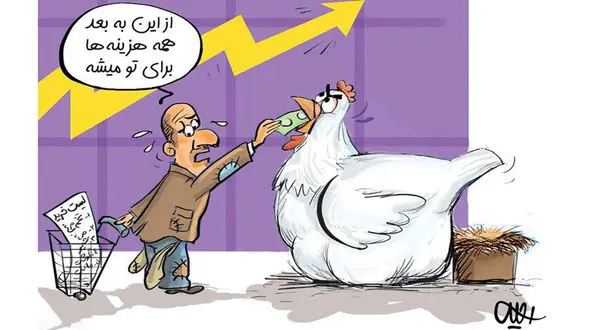 همه از قیمت تخم مرغ ناراضی / تولید کننده و مصرف کننده هر دو شاکی !