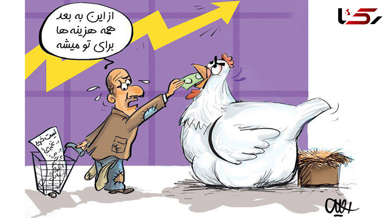 همه از قیمت تخم مرغ ناراضی / تولید کننده و مصرف کننده هر دو شاکی !