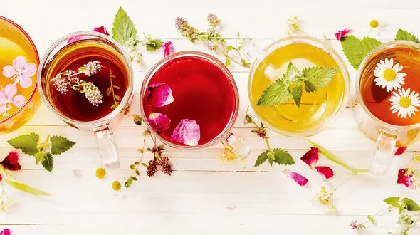 دمنوش‌های گیاهی درمانگر بدن 