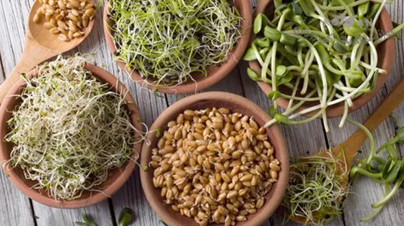 مولتی ویتامین های طبیعی برای رفع خستگی