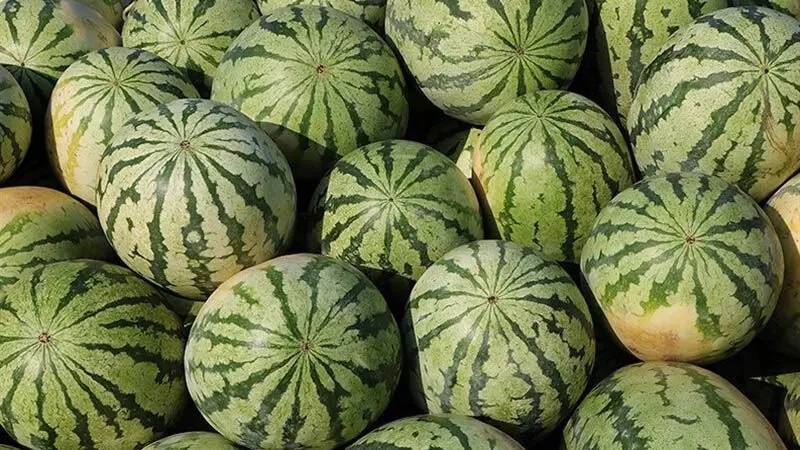 هندوانه