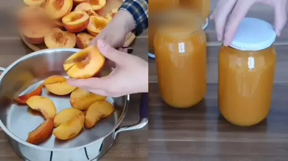 فرمول تهیه رانی هلوی خانگی + فیلم