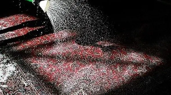 خانه‌تکانی با اسکناس! / فریب زرق و برق شرکتهای قالیشویی را نخورید + قیمتها