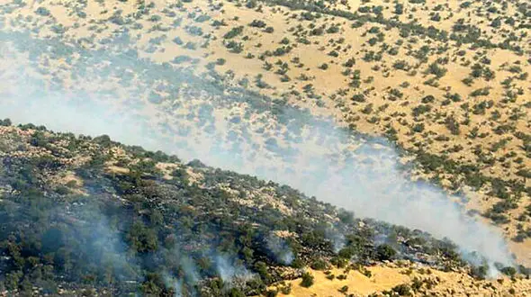 بازداشت ۴۰ متهم در آتش‌سوزی های سریالی جنگل‌های زاگرس