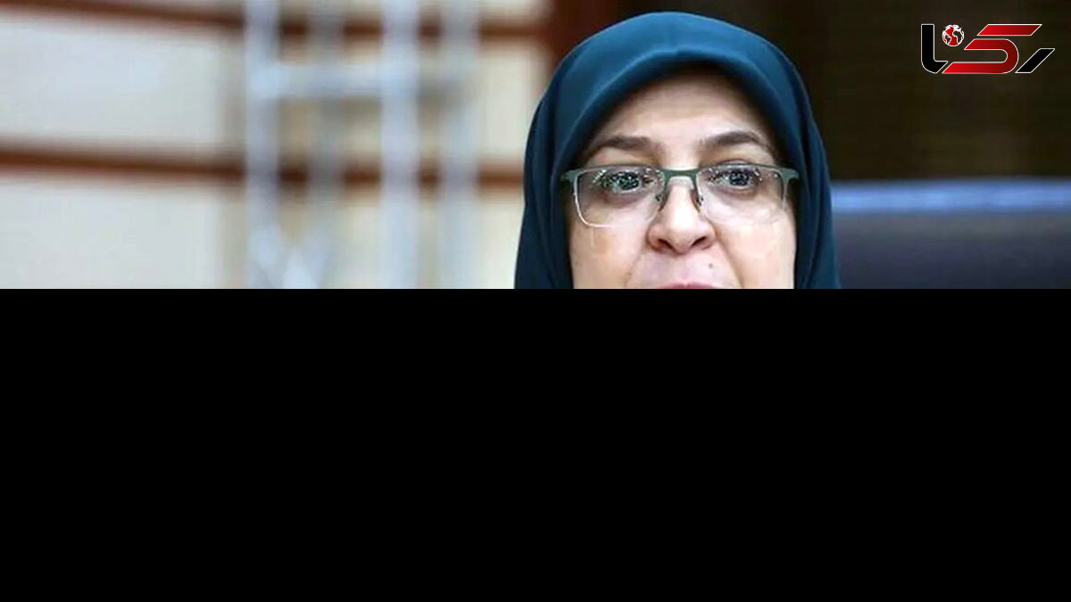 سخنگوی دولت : ایرانیان جهان صدای رسای حقیقت دردفاع از ایران 