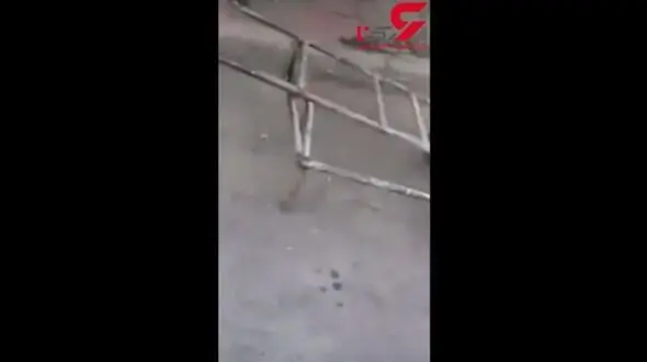 فیلم قمه کشی وحشتناک دختران دبیرستانی با مقنه و مانتوی مدرسه