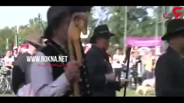 صف آرایی گوسفدها در مقابل کاخ ریاست جمهوری آلمان + فیلم 