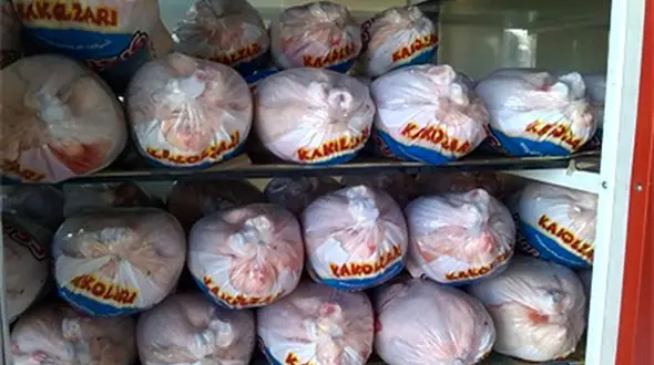 فروش مرغ سبز و منجمد ممنوع شد +سند