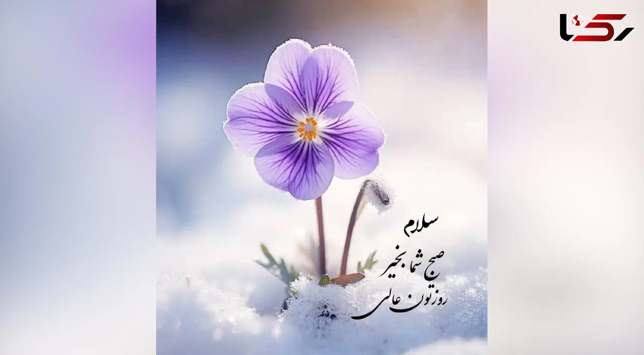 فال و طالع بینی روزانه 16 خرداد 