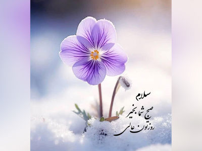 فال و طالع بینی روزانه 16 خرداد 
