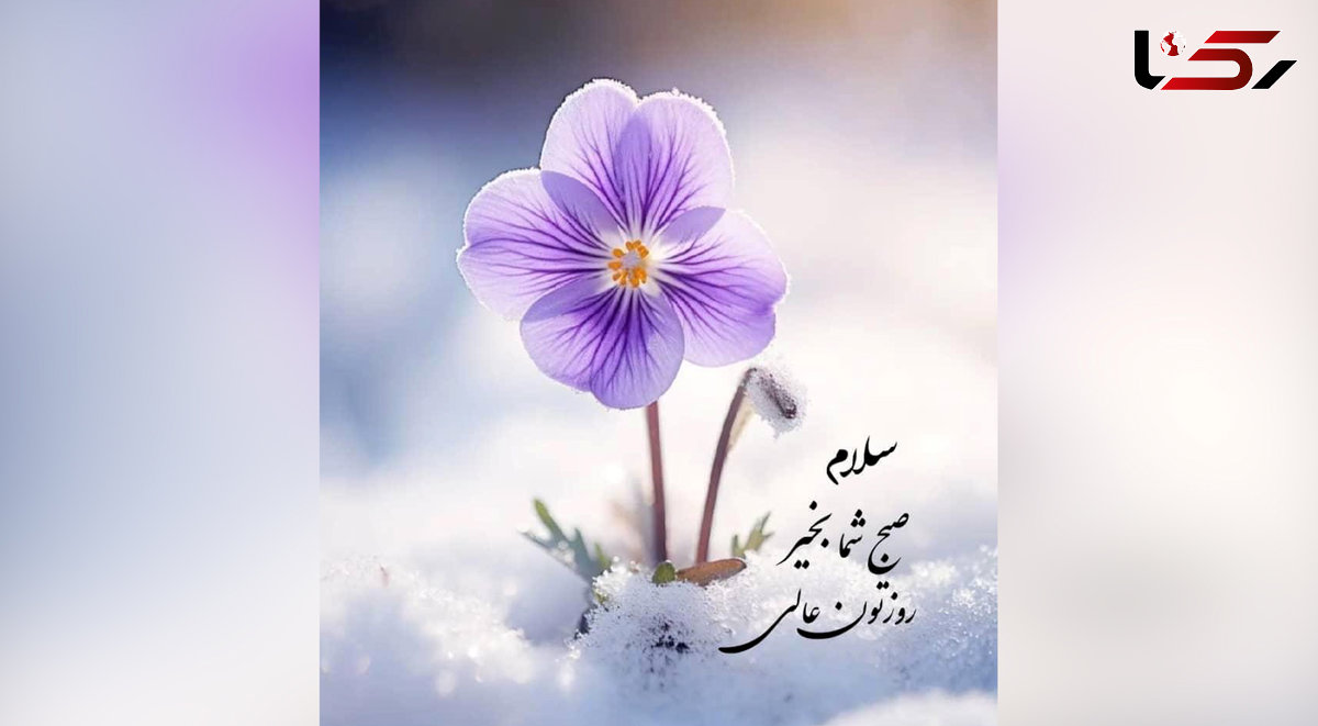 فال و طالع بینی روزانه 16 خرداد 