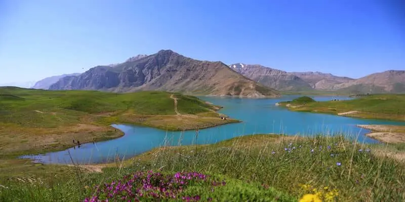 دشت لار