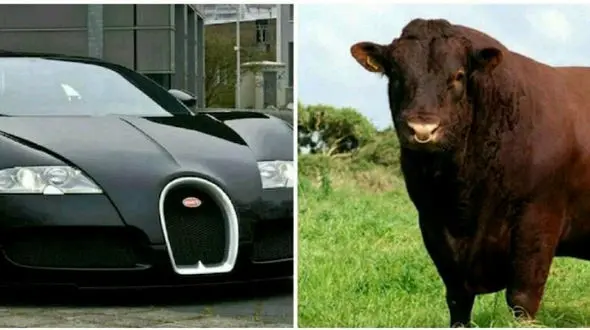 چرم به کاررفته در سریع‌ترین خودروی جهان + عکس