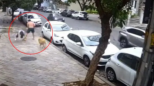 ببینید /مرد ورزشکار بی اعصاب زن میانسال را به زمین کوبید + فیلم !!!