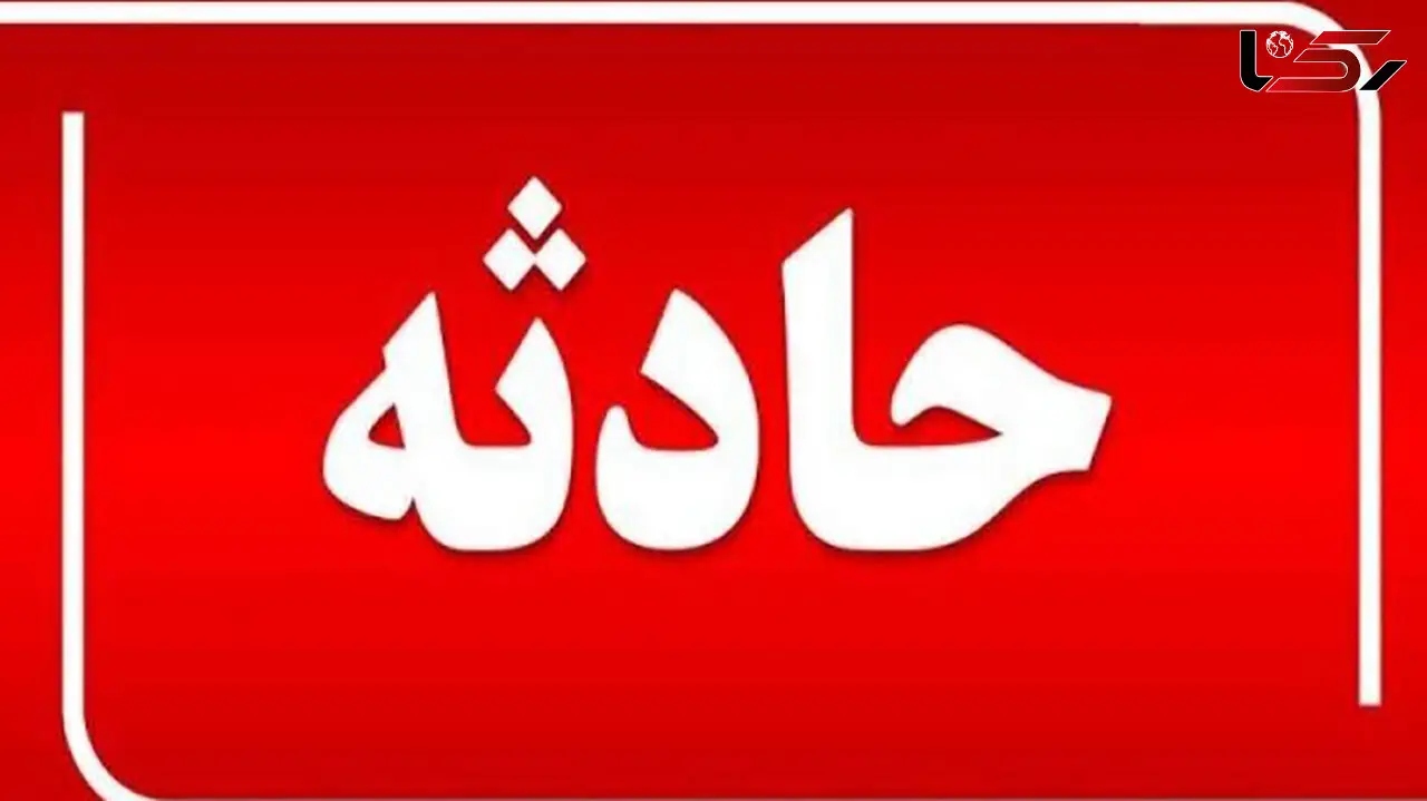 شتر یک نفر را در ایرانشهر کشت / مقصر کدام بود؟

