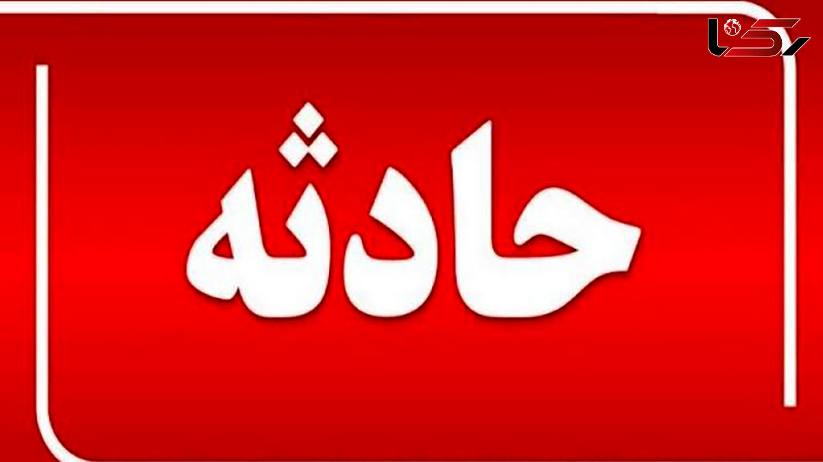 شتر یک نفر را در ایرانشهر کشت / مقصر کدام بود؟

