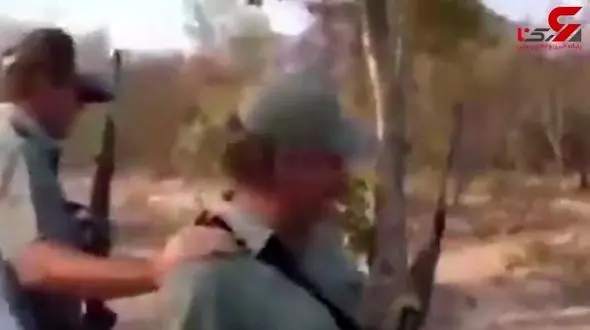 لحظه شکار وحشیانه شیر آفریقایی +فیلم 