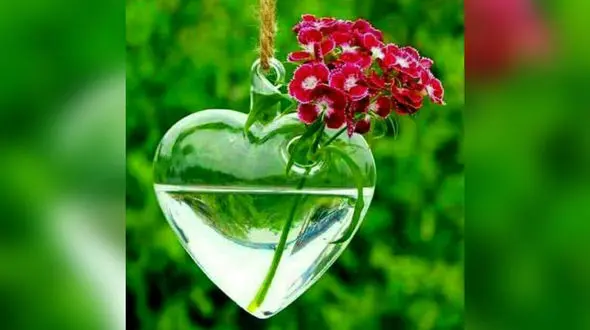 فال تاروت عشاق + فیلم