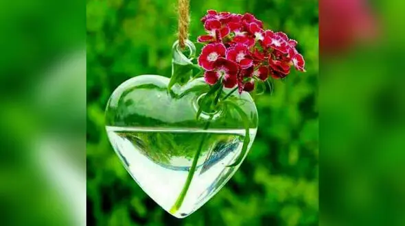 فال تاروت عشاق + فیلم