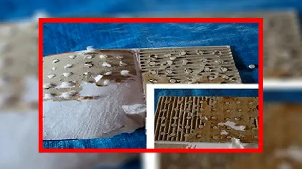 اگر دوست دارید بدبخت نشوید این کارت پستال ها را نخرید+ عکس