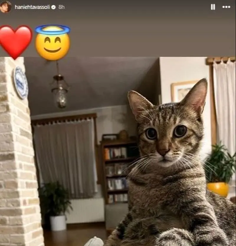 منزل هانیه توسلی