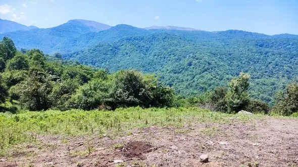 سقوط مرگبار پاترول در جنگل های شموشک / تلاش برای بیرون آوردن جسد خودروی لبه پرتگاه