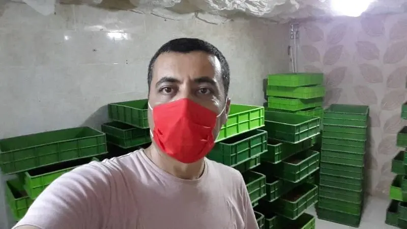حشرات