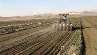 لزوم تسریع در صدور اسناد اراضی کشاورزی استان اردبیل
