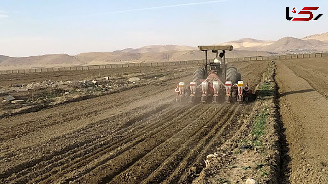 لزوم تسریع در صدور اسناد اراضی کشاورزی استان اردبیل