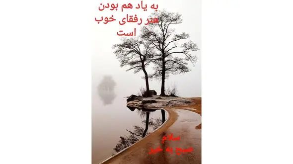 فال روزانه 14 اردیبهشت ماه + فیلم