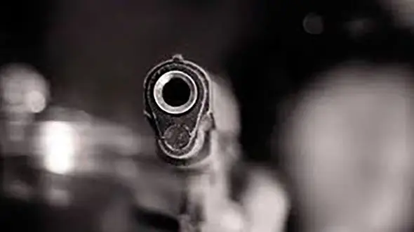 بازداشت سارق حرفه ای با شلیک دقیق پلیس در اتوبان آزادگان تهران