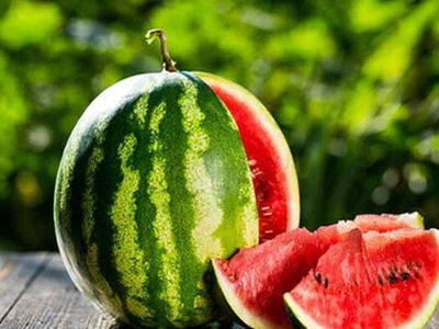 هندوانه و رازهای ترکیبات مغذی آن برای سلامتی