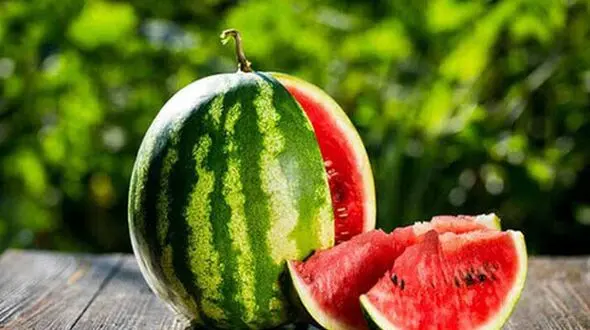 هندوانه و رازهای ترکیبات مغذی آن برای سلامتی